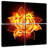 Flaming Rose-1330088395