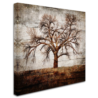 " Cottonwood Tree Part 01 " by LightBoxJournal