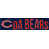Bears de Chicago