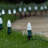 OptiCore Shatterproof LED Luminary & Pathway Lights-52162779