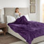 Couverture chauffante électrique ultra-douce Beautyrest-18681759-52229078
