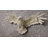 Snowy Owl Wall Art