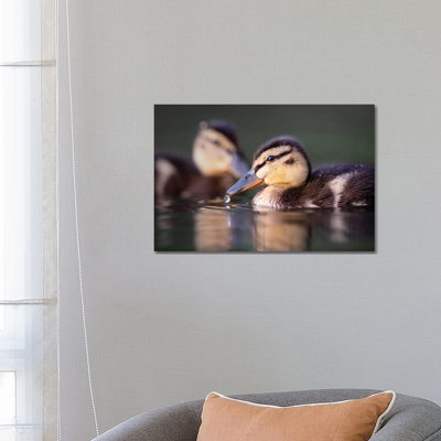 Droplet 1 Piece Wrapped Canvas Wall Art
