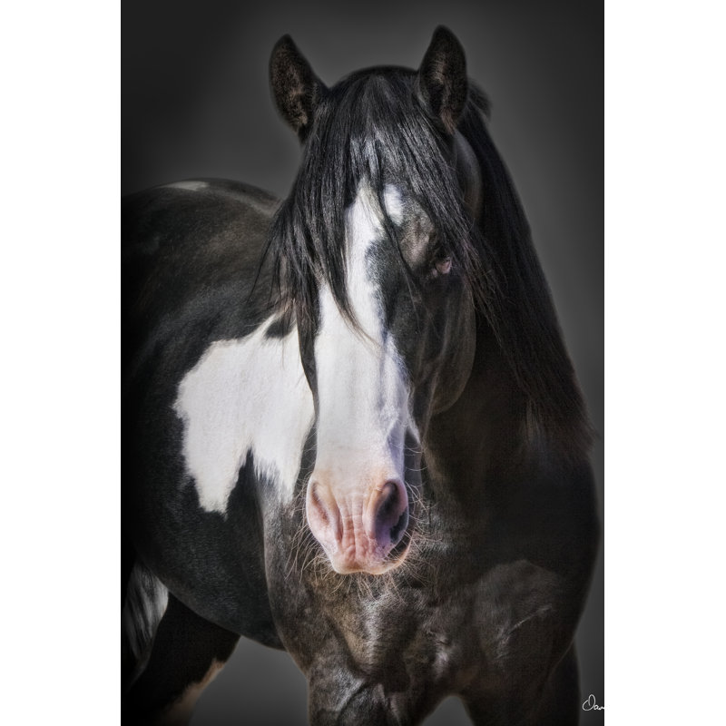 Portrait de cheval II, H 48 po x l 32 po x P 1,25 po
