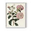 «Pink Floral Mix IV», reproduction encadrée - bois massif-1501923666-1501923664