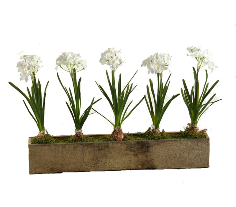 Paper in Rectangle Wooden Planter