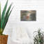 Art mural en métal «Garden Shelf IV» par Pam Britton, Luxe-304825234