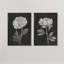 «Black and White Flowers III», ensemble de 2 reproductions d'art encadrées-1201688119-1201688072-1201688074
