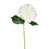 Blanc sélectionné