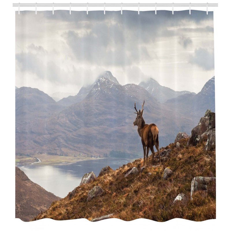 Ensemble de rideau de douche et crochets Deer, H 69 po x l 105 po