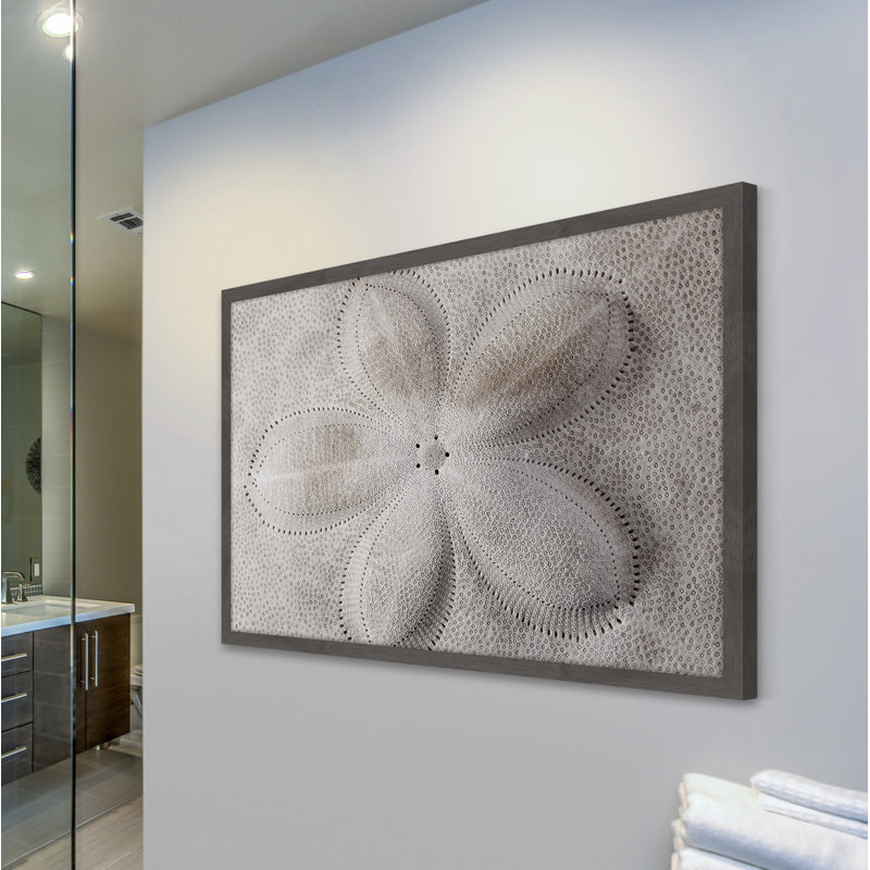 Shell Finger - Single Picture Frame Print, 61 cm H x 91 cm W