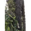 30" Artificial Succulent Wreath