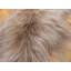 Kearney Solid Colour Sheepskin Area Rug-36342636