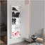 Armoire à chaussures murale 5 portes avec miroir Montauk
