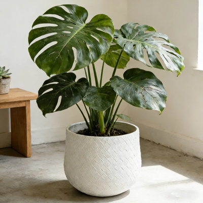 Assortiment de pots de fleurs ronds en oxyde de magnésium de 21,65 po + 14,17 po + 8,66 po de diamètre assorti, pot de fleurs d'intérieur extérieur avec trou de drainage, pot de couleur blanche avec motif de tissage pour patio