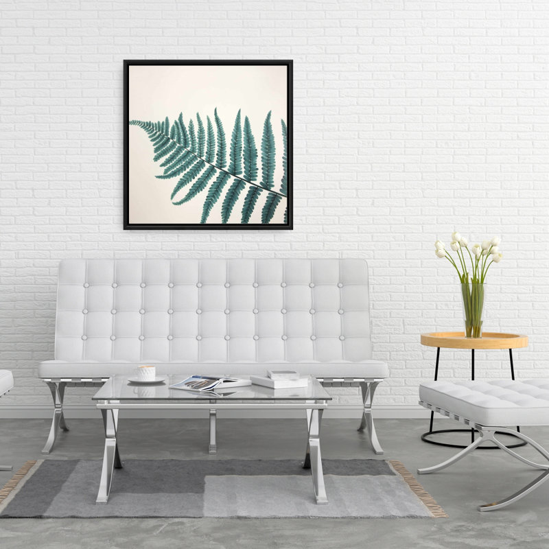 «Beautiful Fern»
