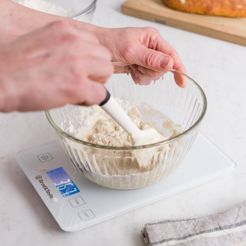 Brod & Taylor High Capacity Baking & Kitchen Scale
