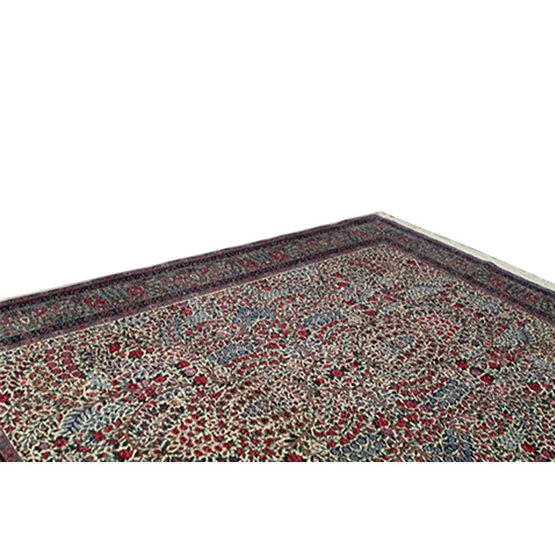 Oriental Area Rug