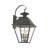 Frankly 4 - Bulb 27.5" Outdoor Wall Lantern-1091048932