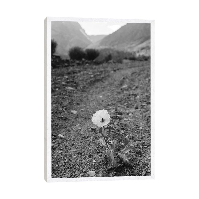 Monochrome Yosemite Bloom by Bethany Young - Print on Canvas, White Framed, 66.04cm H x 45.72cm W x 3.81cm D