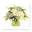 Hydrangea in Vase