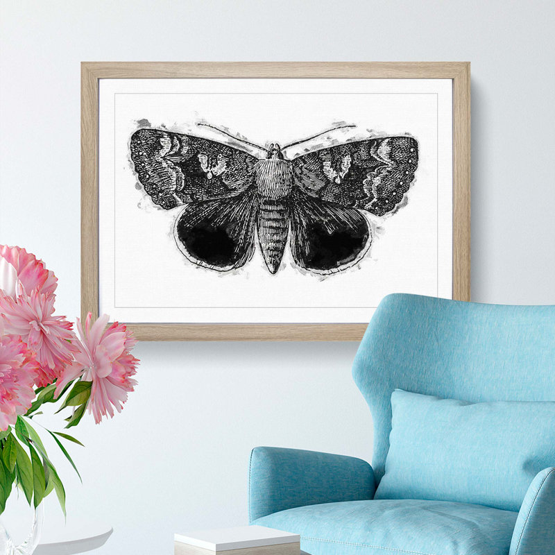 Epione Underwing Moth by S.F. Denton - Picture Frame Painting Print, 48cm H x 65cm W x 2cm D, Oak Framed