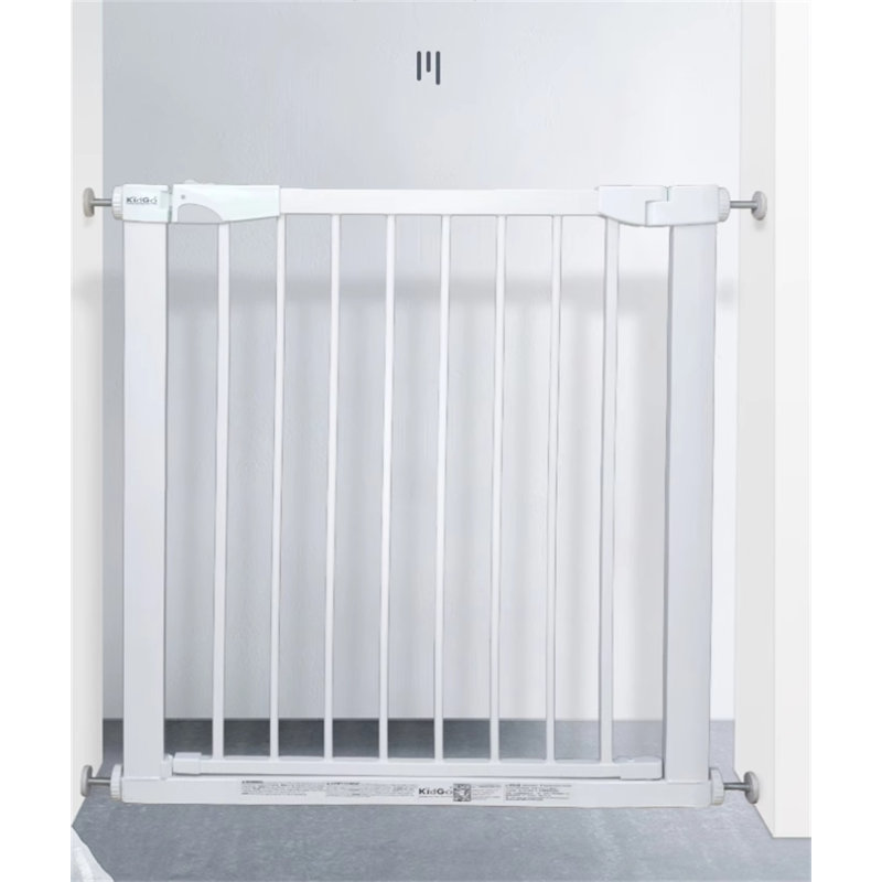 Clôture robuste pour chien, H 43,3 po x l 62,59 po x P 0,7 po