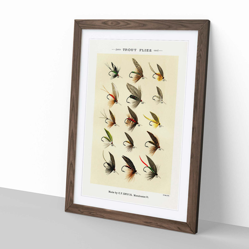 Trout Fishing Flies Version 8 by Mary Orvis Marbury - Framed Print, Walnut, 91cm H x 60cm W x 2cm D