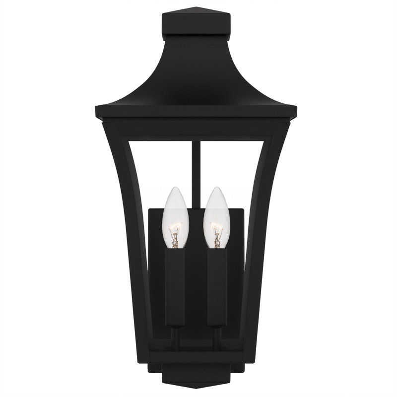 Graysie Earth Black Outdoor Wall Lantern, 16.25" H x 8" W x 9" D, 2 Lights