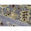 Ziegler Wool Floral Area Rug