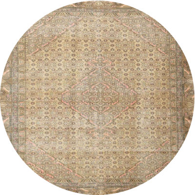 Oriental Indoor Rug