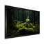 Violon verdure dans la forêt III - musique sur toile, art mural-97015003-97015002