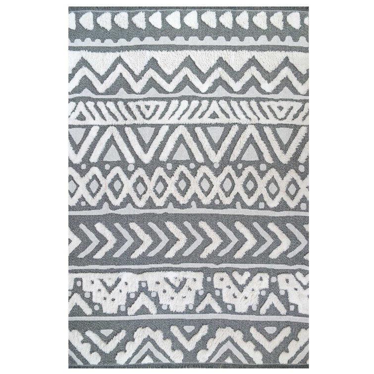 Liyuan Southwestern Hand Woven Area Rug