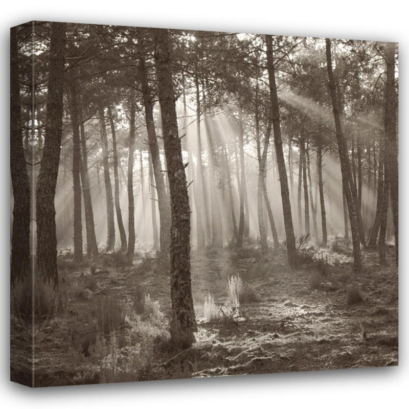 Lumière de forêt MCG-S1422, H 15 po x l 15 po
