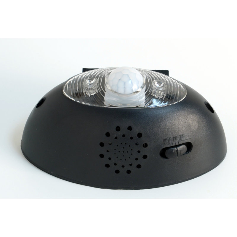 Projecteur à énergie solaire noir Vanesa
