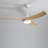 52'' Ceiling Fan With Lights And Remote Control-1679876732-1679876672