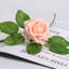 Centre de table Mack Roses-88562628