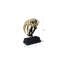 Saber Tooth Tiger Skull-42650008