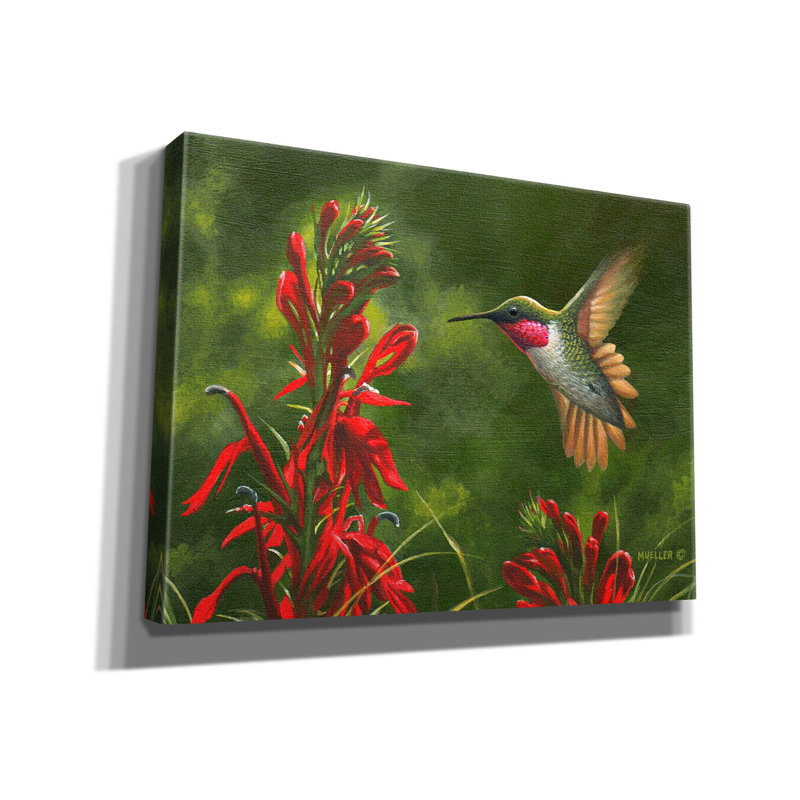 «Seeing Red - Colibri et cardinal fleur sur toile» par Mark Mueller, reproduction d'art animalier