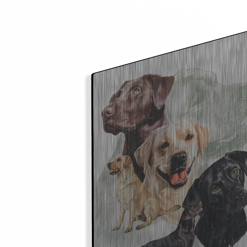 «Labrador 2» par Barbara Keith, H 16 po x l 12 po