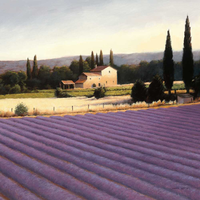 Lavender Fields II, H 36 po x l 36 po