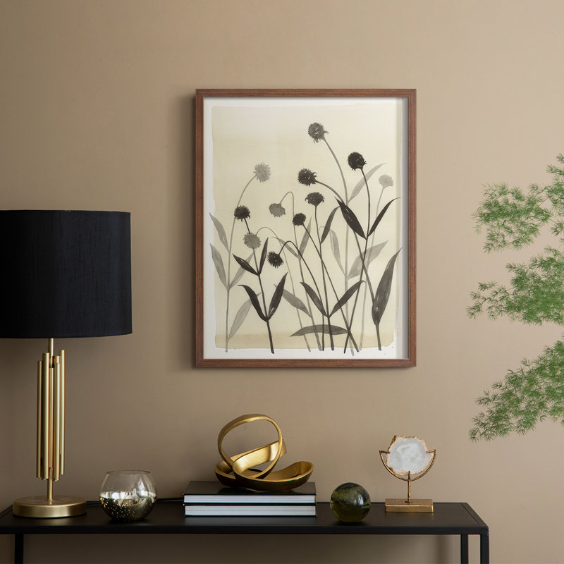 Summer Echinachea II, reproduction encadrée - bois massif, H 21 po x l 17 po, Noyer