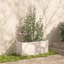 Boîte à fleurs en bois massif Rowhn-131649922-131649924