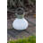 Nereus 5.5'' Solar Powered Integrated LED-1577585916