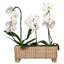 Provence Rattan Rectangular Planter - Whitewash