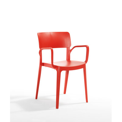 Panora Arm Chair