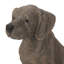 Statue de jardin d'extérieur pour chien