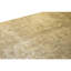 Hand Knotted Wool Area Rug in Gold
