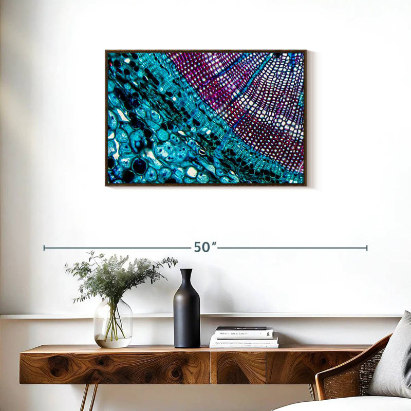 Pine Stem Under Microscope, 31" X 21", Floating Frame Walnut
