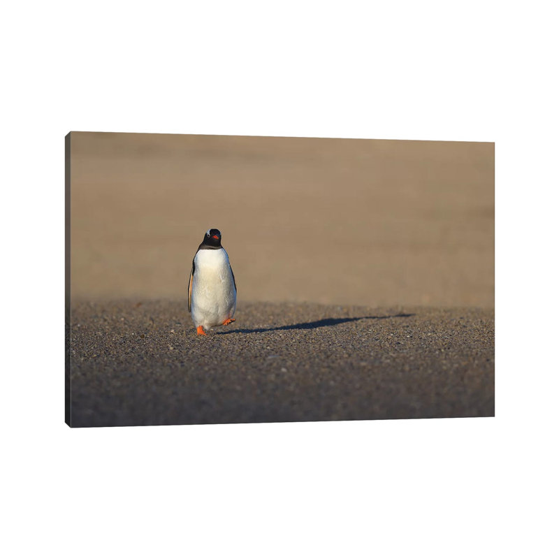 One Small Step ... par Elmar Weiss - Photographie sur toile tendue, H 8 po x l 12 po x P 0,75 po